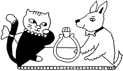 Book Your Appointment