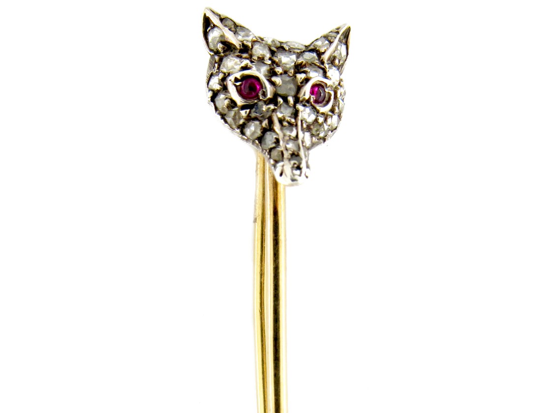 Diamond Fox Pictures, Images Photos Photobucket