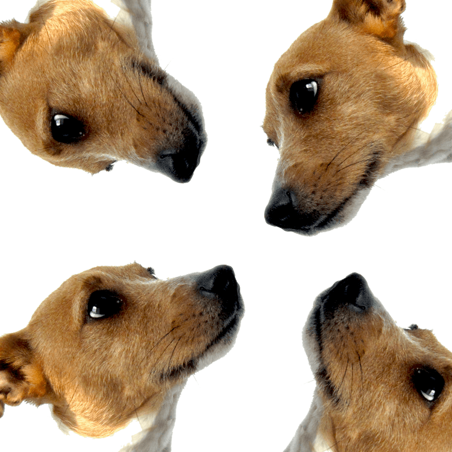 Test Product